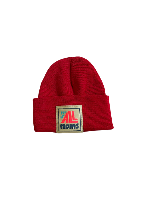 Assorted Kids Nams Beanie - In Store